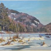 Hillside in March TM Nicholas